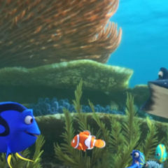 Alla ricerca di Dory