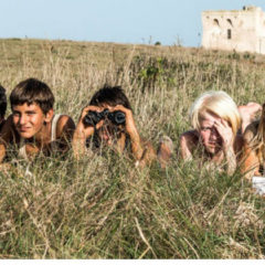 La guerra dei cafoni di  Davide Barletti e Lorenzo Conte-recensione.dreamingcinema