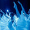 Bolshoi Babylon