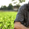 Veleno-recensione-film-dreamingcinema