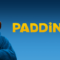 Paddington 2- recensione -film – dreamingcinema
