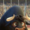 Ferdinand – film (2017) – dreamingcinema