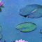 Le Ninfee di Monet – Un incantesimo di acqua e luce – (2018) – dreamingcinema