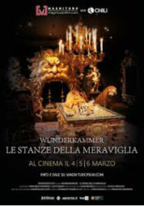 la stanza delle meraviglie-dreamingcinema