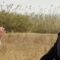 Iddu – L’ultimo Padrino – Film (2024)