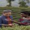 Black Tea – Film (2024)